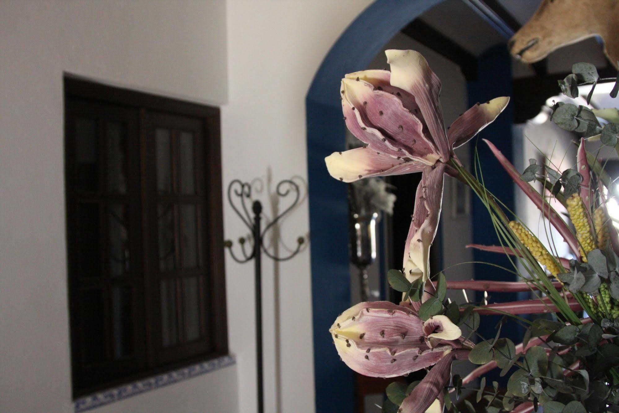 Casa Rural El Sombrero 埃尔罗西奥 外观 照片